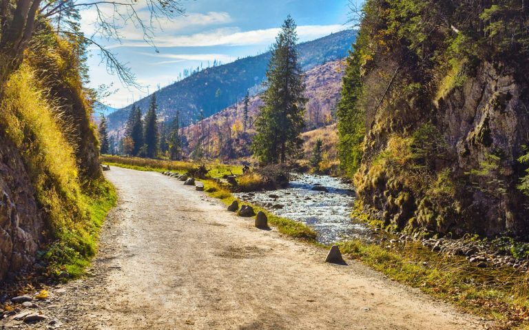 Dlaczego warto postawić na prywatny domek w zakopanem, zamiast hotelu?